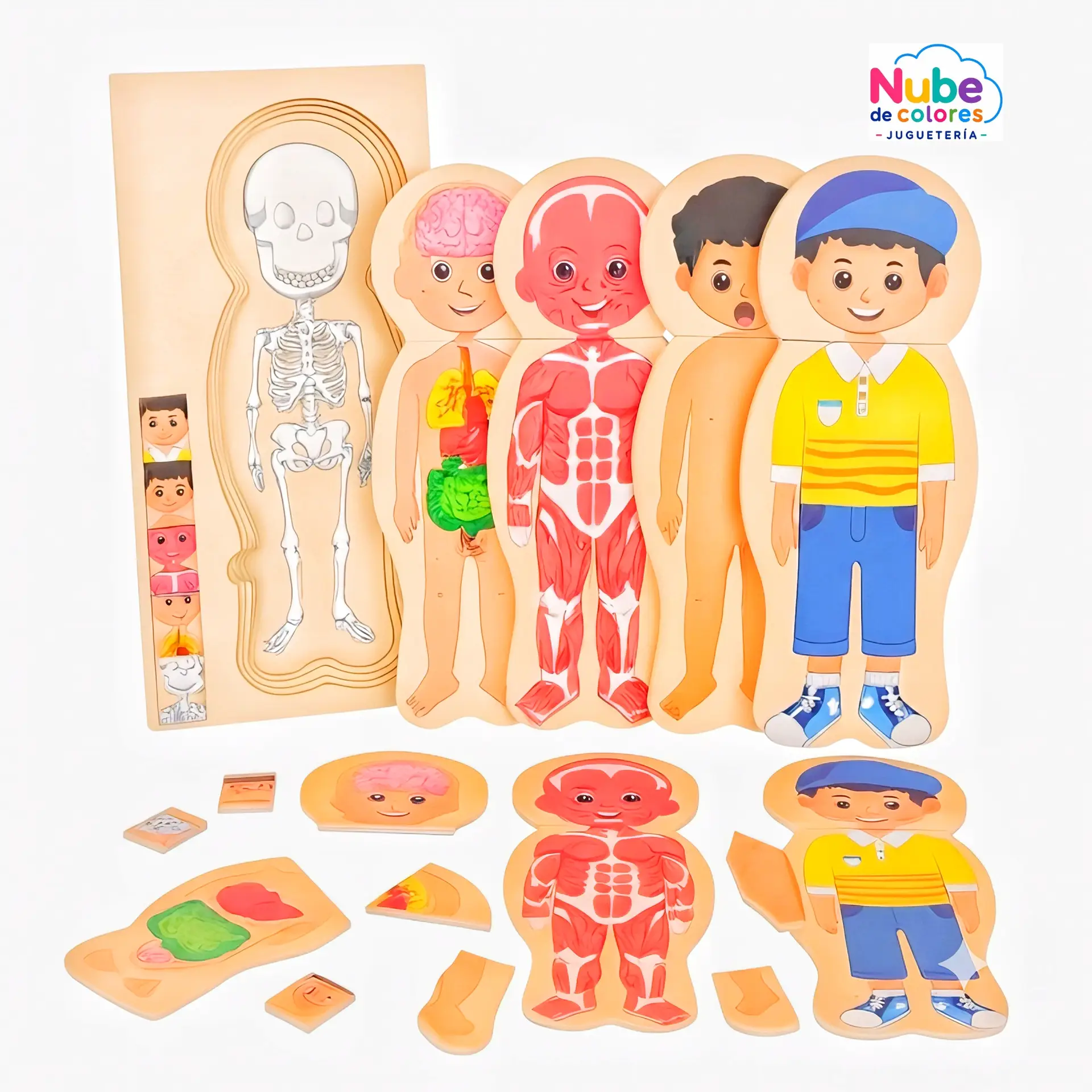 PUZLE CUERPO HUMANO NIÑO