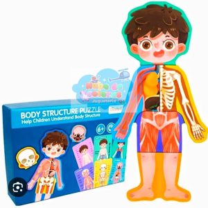 ROMPECABEZAS CUERPO HUMANO NIÑO