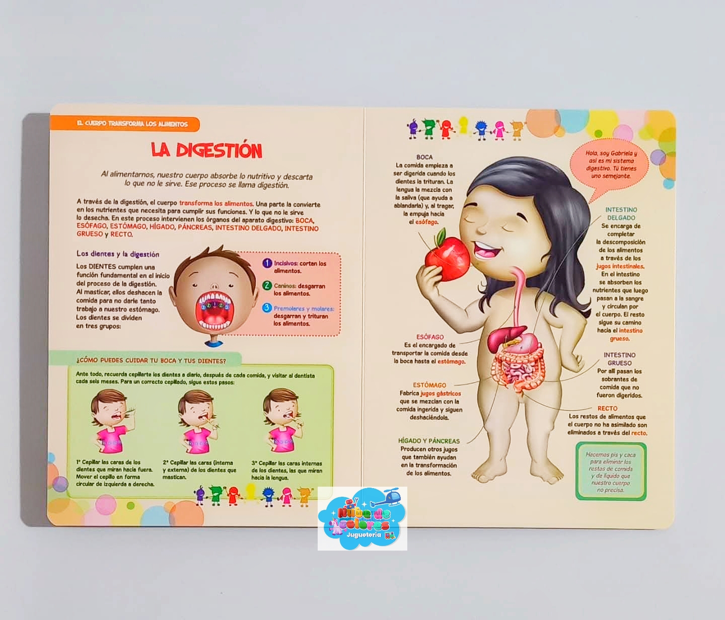 LOS PEQUES DESCUBRIMOS NUESTRO CUERPO - Imagen 2