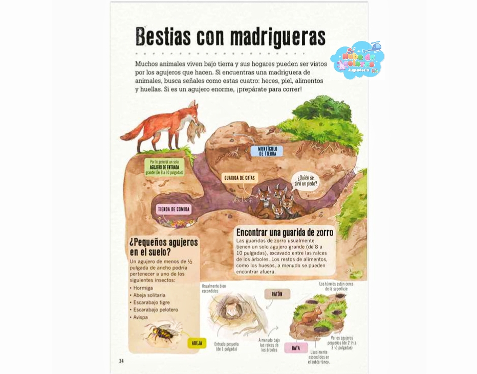LIBRO LA PISTA ESTÁ EN LA CACA - Imagen 3