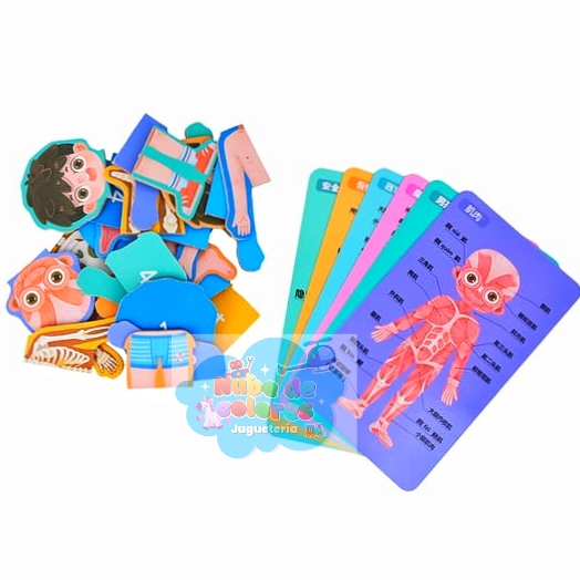 ROMPECABEZAS CUERPO HUMANO NIÑO - Imagen 2