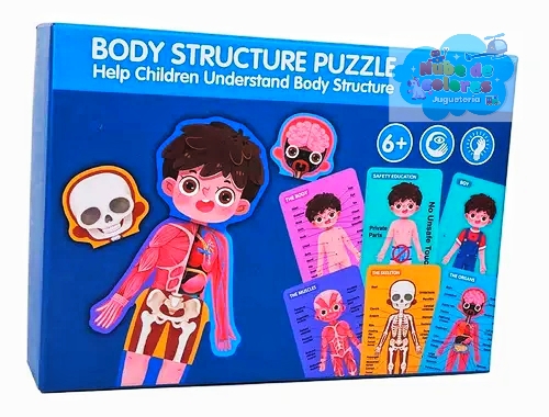 ROMPECABEZAS CUERPO HUMANO NIÑO - Imagen 8