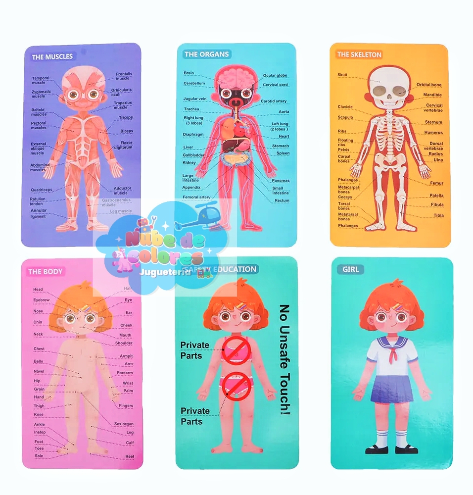 ROMPECABEZAS CUERPO HUMANO NIÑA - Imagen 3