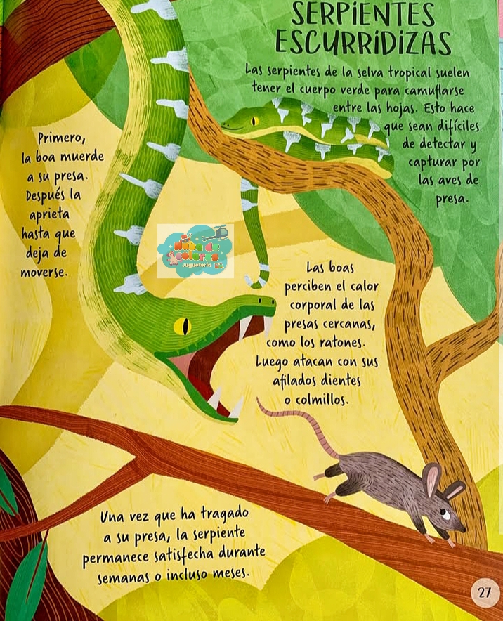EXPLOREMOS LOS ANIMALES DE LA SELVA - Imagen 3
