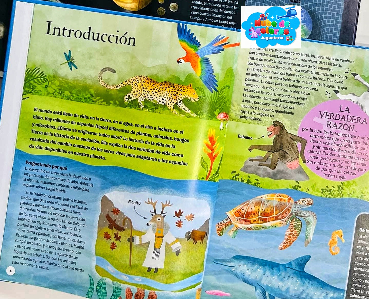 LA HISTORIA DE LA VIDA - Imagen 2