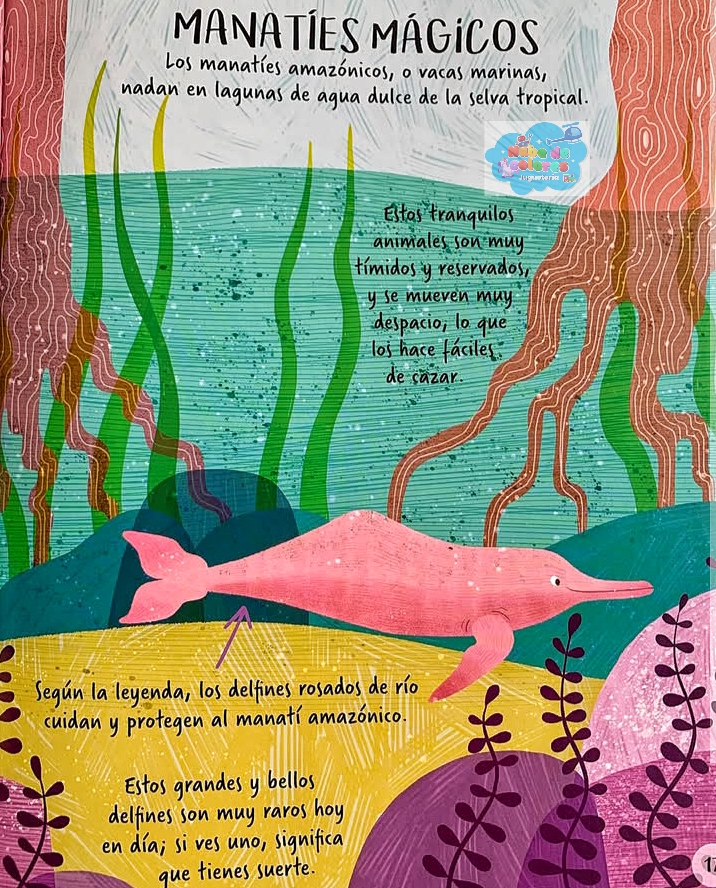 EXPLOREMOS LOS ANIMALES DE LA SELVA - Imagen 4