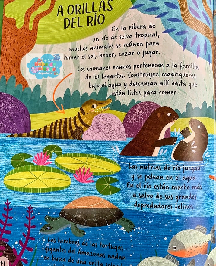 EXPLOREMOS LOS ANIMALES DE LA SELVA - Imagen 5