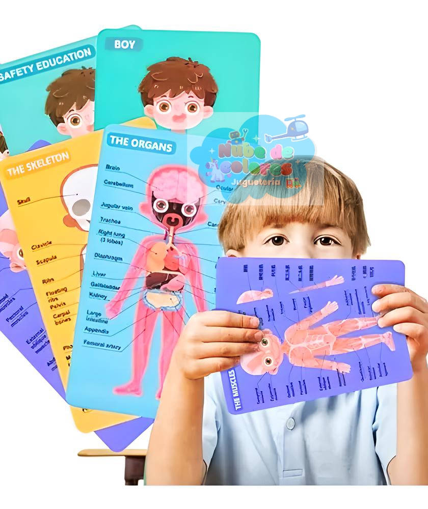 ROMPECABEZAS CUERPO HUMANO NIÑO - Imagen 7