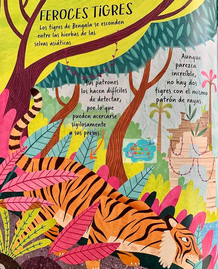 EXPLOREMOS LOS ANIMALES DE LA SELVA - Imagen 6
