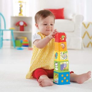 JUEGO PARA APILAR - FISHER PRICE