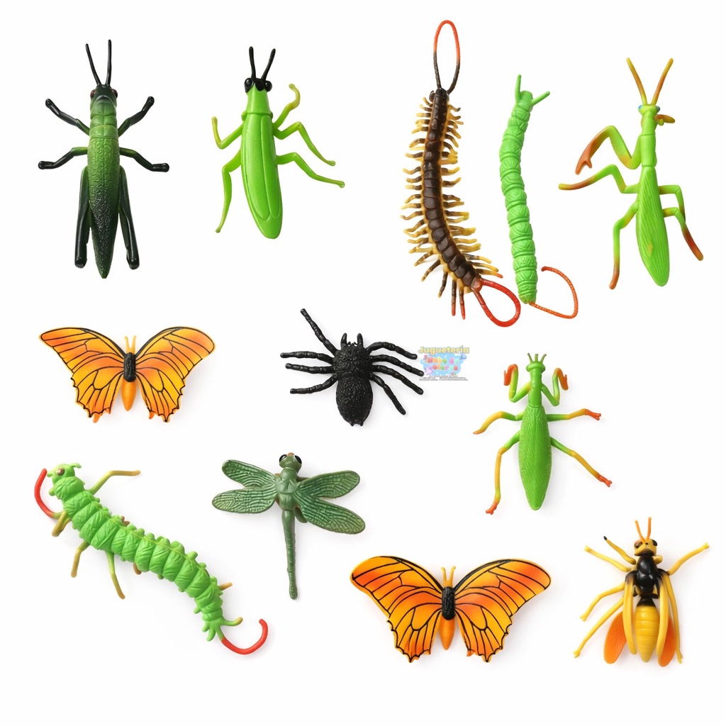 SET ANIMALES ( INSECTOS )