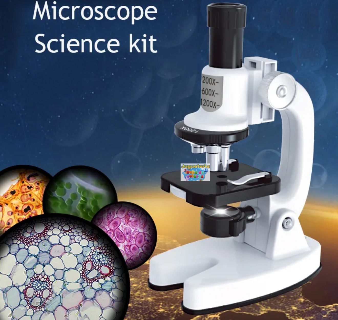 MALETA MICROSCOPIO XL - Imagen 5