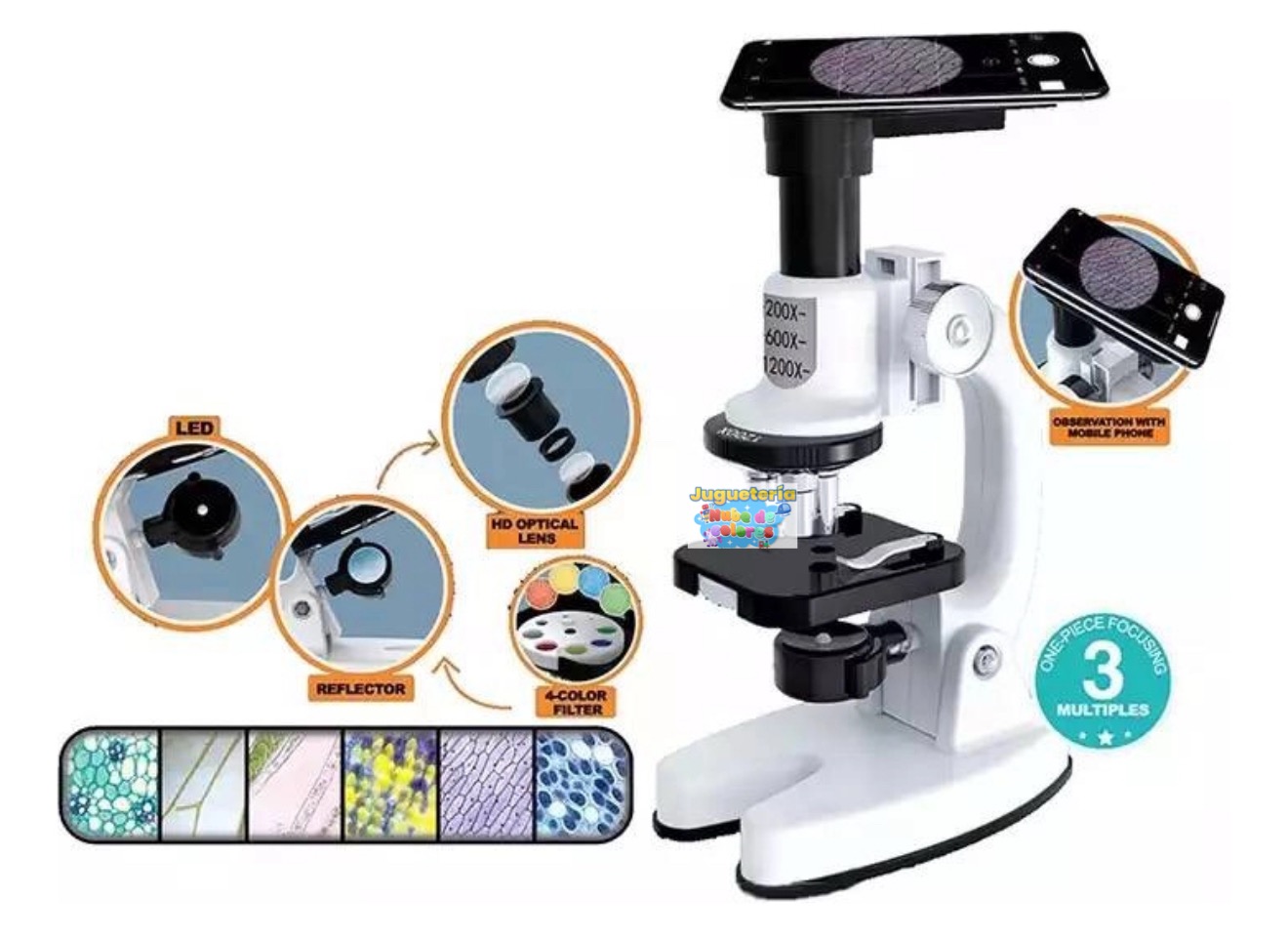 MALETA MICROSCOPIO XL - Imagen 2