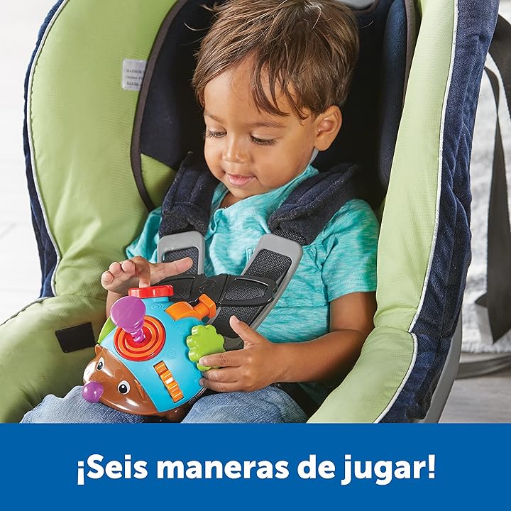 ERIZO SENSORIAL - Imagen 7