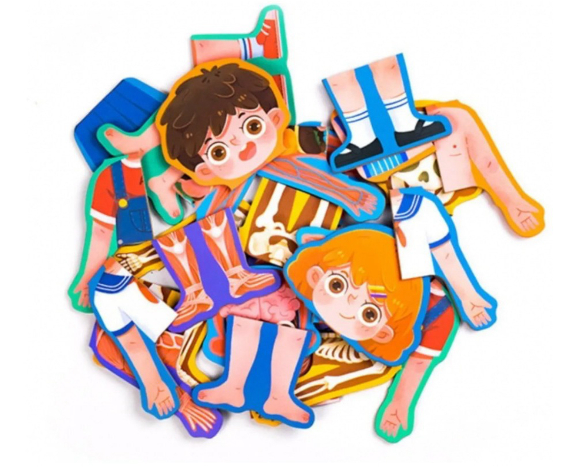 CUERPO HUMANO Y SU ESTRUCTURA ( NIÑO Y NIÑA) - Imagen 3