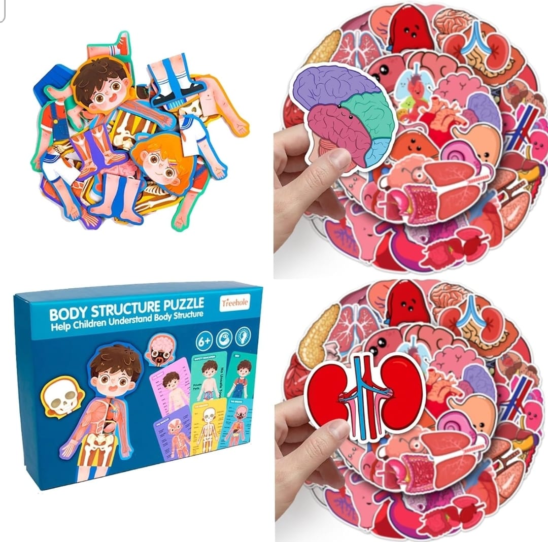 CUERPO HUMANO Y SU ESTRUCTURA ( NIÑO Y NIÑA) - Imagen 2
