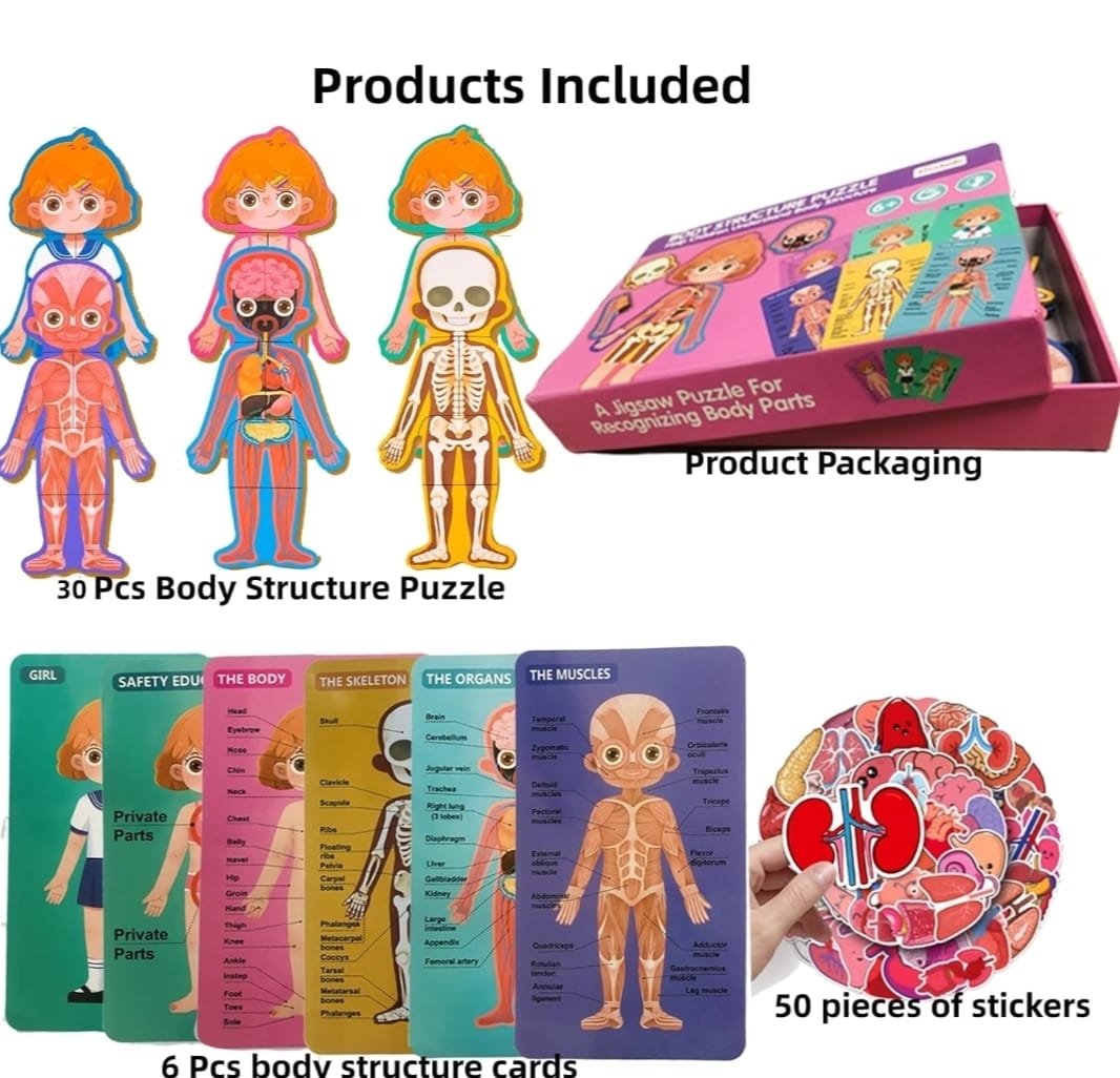 CUERPO HUMANO Y SU ESTRUCTURA ( NIÑO Y NIÑA) - Imagen 4