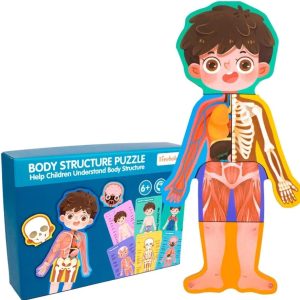 CUERPO HUMANO Y SU ESTRUCTURA ( NIÑO Y NIÑA)