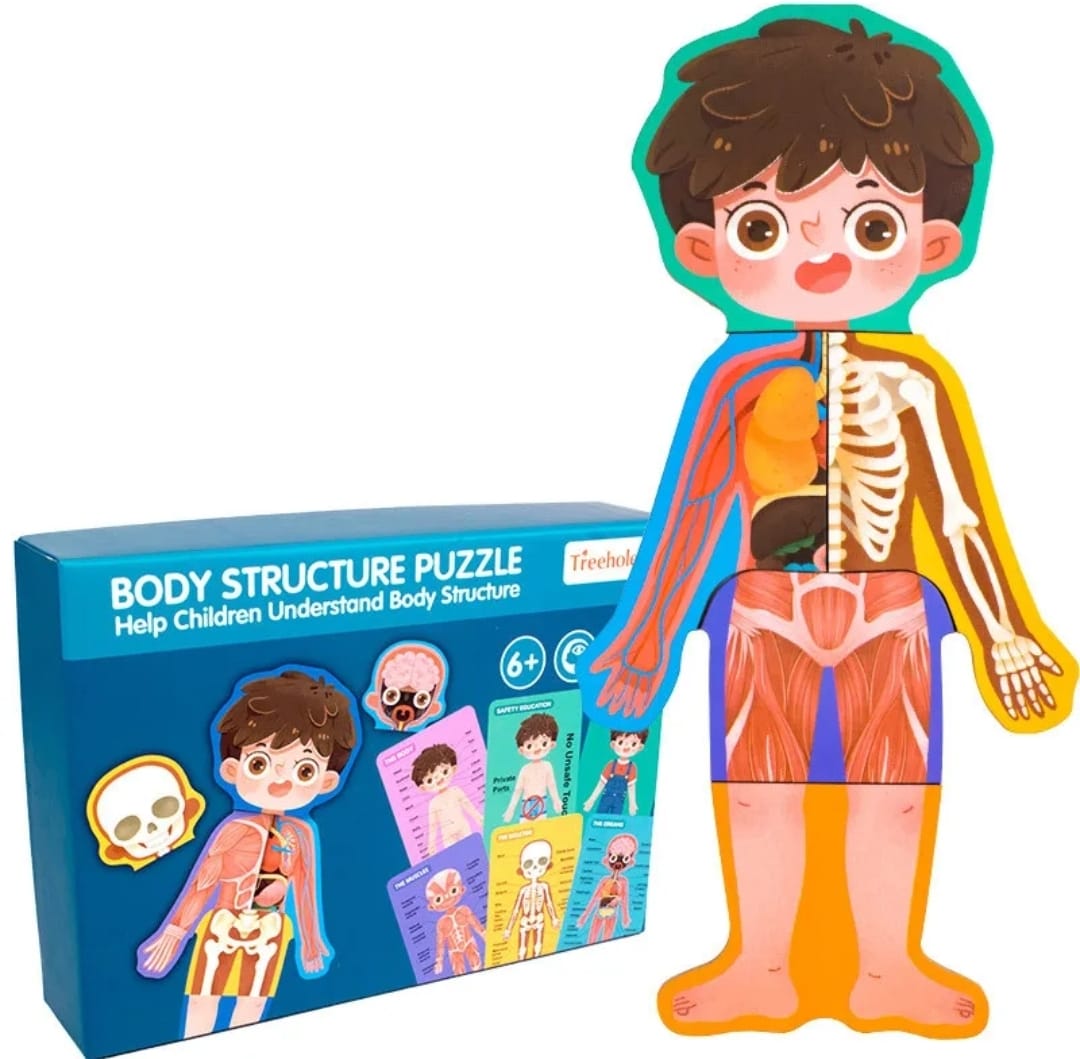 CUERPO HUMANO Y SU ESTRUCTURA ( NIÑO Y NIÑA) - Imagen 5
